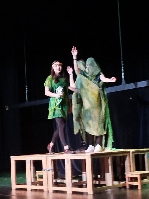 Shakespearova magie v angličtině: třídy CR1 a H1 na „Snu noci svatojánské“ 7  