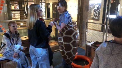 Olomouc očima třídy C2 4  