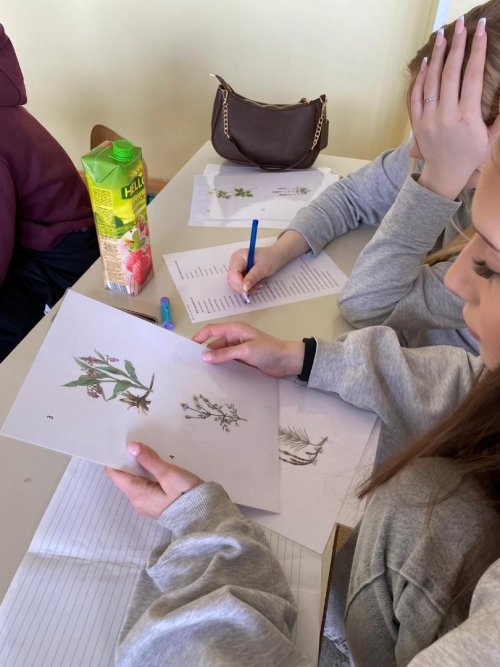 Den Země aneb chraňme prostředí, ve kterém chceme žít 3  