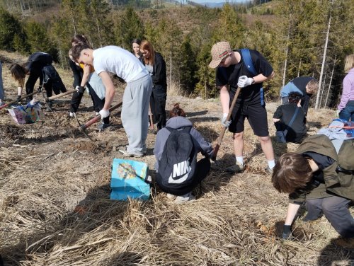 ENVIRONMENTÁLNÍ AKCE „STROMY PRO JAVORNÍK“ – VYSAZOVÁNÍ  STROMŮ 4  