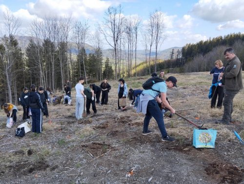 ENVIRONMENTÁLNÍ AKCE „STROMY PRO JAVORNÍK“ – VYSAZOVÁNÍ  STROMŮ 3  