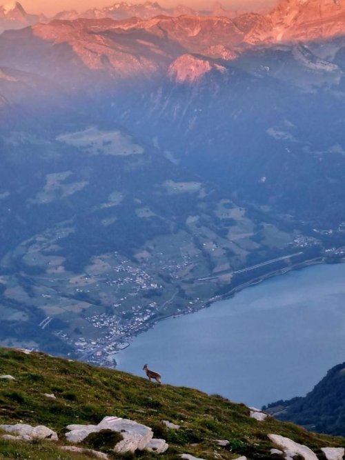 Zahraniční stáže ve školním roce 2026/27 2  